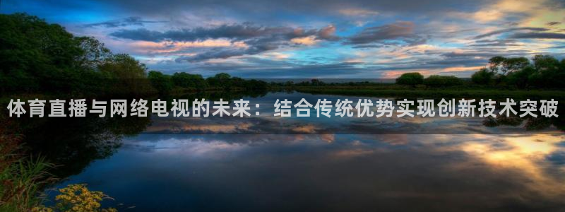 乐球直播免费观看高清版：体育直播与网络电视的未来：结合传统优势实现创新技术突破