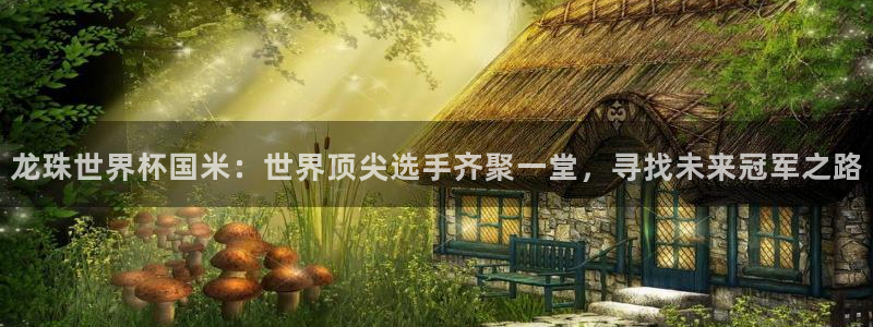乐球直播(免费版)：龙珠世界杯国米：世界顶尖选手齐聚一堂，寻找未来冠军之路