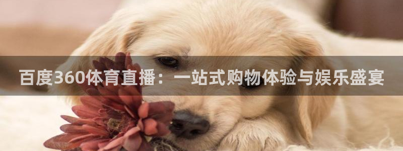 360乐球体育直播在线观看：百度360体育直播：一站式购物体验与娱乐盛宴