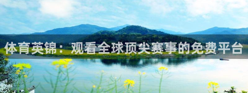 乐球直播体育在线观看：体育英锦：观看全球顶尖赛事的免费平台