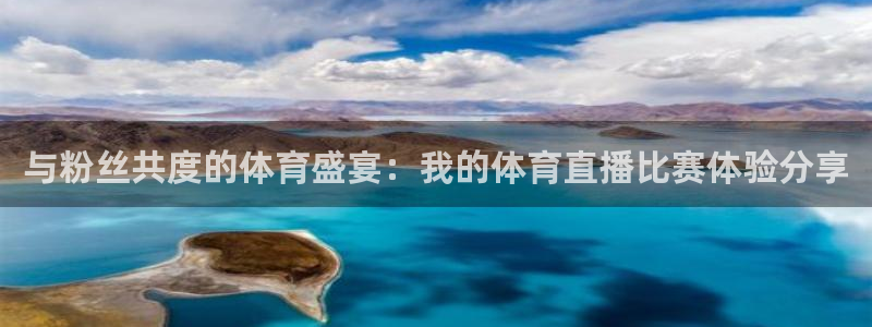 乐球直播高清免费：与粉丝共度的体育盛宴：我的体育直播比赛体验分享