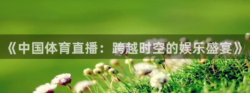 乐球体育直播超清：《中国体育直播：跨越时空的娱乐盛宴》