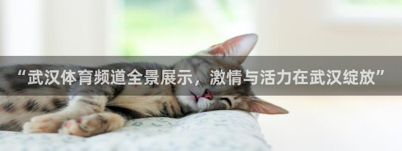nba直播免费观看直播在线乐球：“武汉体育频道全景展示，激情与活力在武汉绽放”