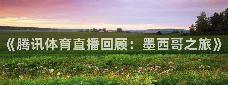 乐球直播高清免费：《腾讯体育直播回顾：墨西哥之旅》