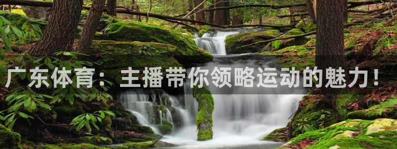 乐球体育足球在线直播免费观看：广东体育：主播带你领略运动的魅力！