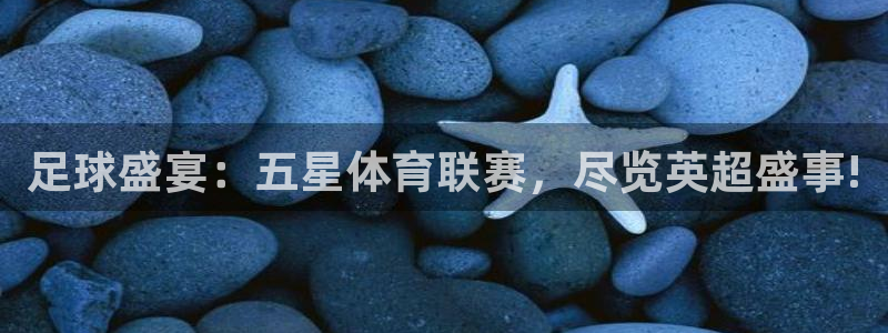 乐球直播免费观看全部