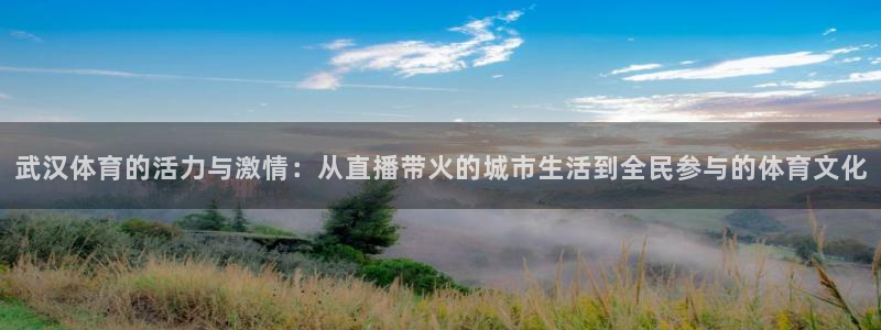 乐球免费nba直播：武汉体育的活力与激情：从直播带火的城市生活到全民参与的体育文化