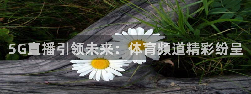 乐球直播nba在线观看：5G直播引领未来：体育频道精彩纷呈
