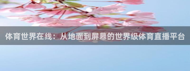 乐球体育：体育世界在线：从地面到屏幕的世界级体育直播平台