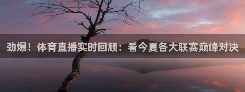 jrs直播低调看直播乐球直播：劲爆！体育直播实时回顾：看今夏各大联赛巅峰对决