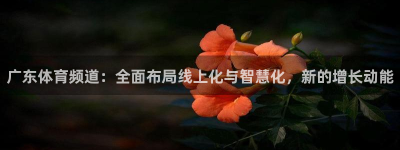 jrs乐球直播：广东体育频道：全面布局线上化与智慧化，新的增长动能