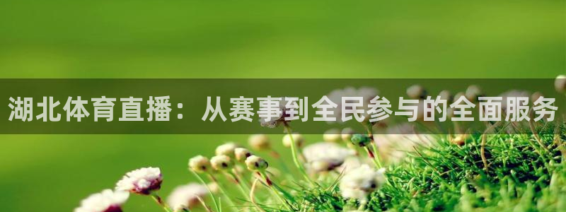 乐球直播官网在线观看：湖北体育直播：从赛事到全民参与的全面服务